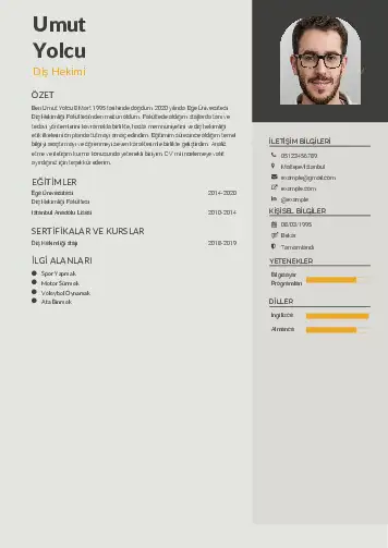 Diş Hekimi cv indir